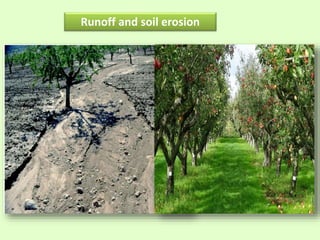 Runoff and soil erosion
 