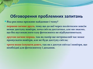 Обговорення проблемних запитань
Яка рослина проживе найдовше і чому?
- першою загине друга, тому що до неї через поліетилен зовсім
немає доступу повітря, хоча світла достатньо, але ми знаємо,
що без вуглекислого газу фотосинтез не відбуватиметься;
- другою загине перша, так як папір ще нетривалий час може
пропускати повітря, але не буде доступу світла;
- третя може існувати довго, так як є доступ світла і повітря, що
необхідні для фотосинтезу і дихання.
 