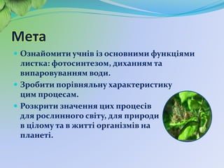 Значення для життєдіяльності клітин води схема