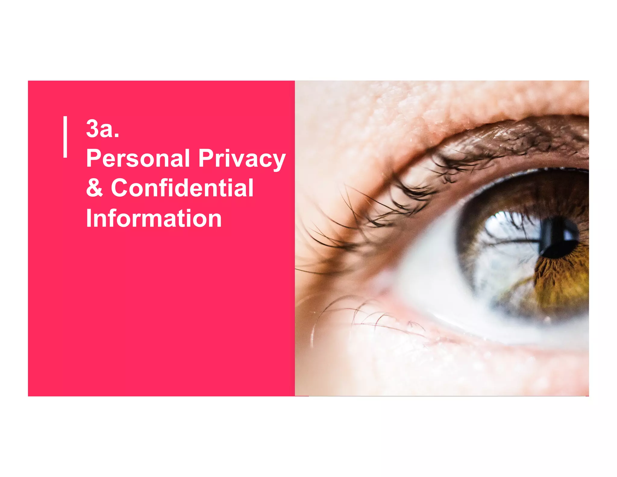3a.
Personal Privacy
& Confidential
Information
 