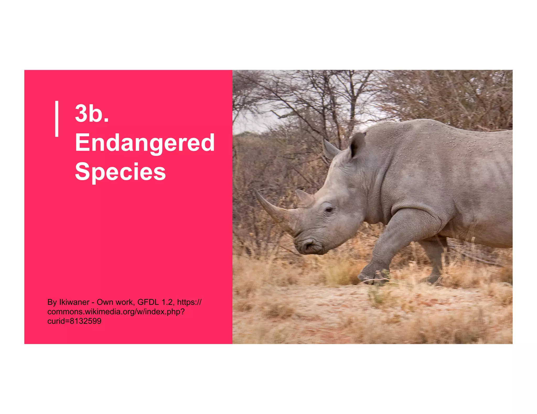 3b.
Endangered
Species
By Ikiwaner - Own work, GFDL 1.2, https://
commons.wikimedia.org/w/index.php?
curid=8132599
 