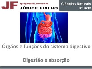 Ciências Naturais
3ºCiclo
Órgãos e funções do sistema digestivo
Digestão e absorção
 