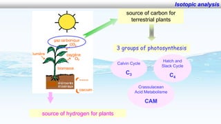 Application of analytical techniques to preserve the biodiversity and ecological services of wetland 