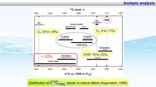 Application of analytical techniques to preserve the biodiversity and ecological services of wetland 