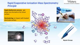 Application of analytical techniques to preserve the biodiversity and ecological services of wetland 