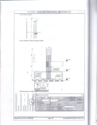 Autocad Structural Detailing 