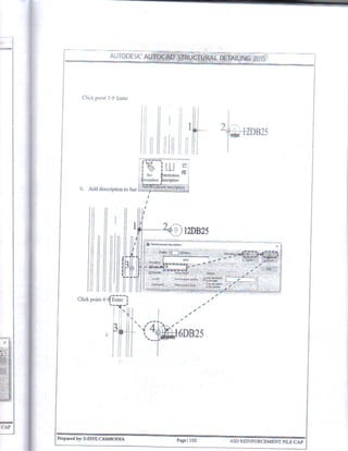 Autocad Structural Detailing 