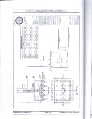 Autocad Structural Detailing 