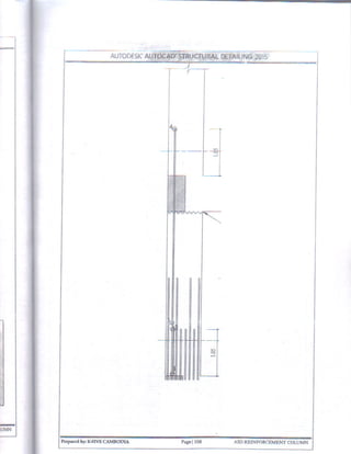 Autocad Structural Detailing 