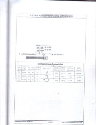 Autocad Structural Detailing 