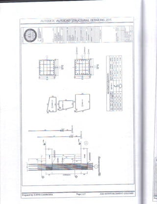 Autocad Structural Detailing 