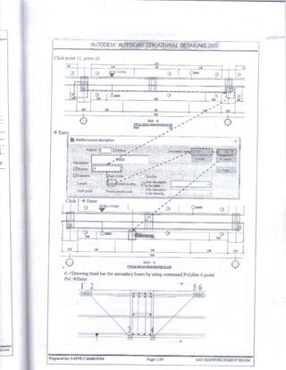 Autocad Structural Detailing 