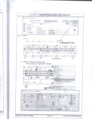 Autocad Structural Detailing 