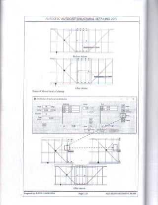 Autocad Structural Detailing 
