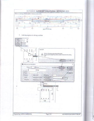 Autocad Structural Detailing 