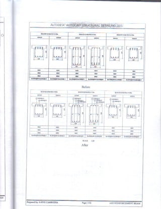 Autocad Structural Detailing 