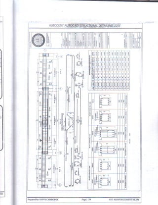 Autocad Structural Detailing 