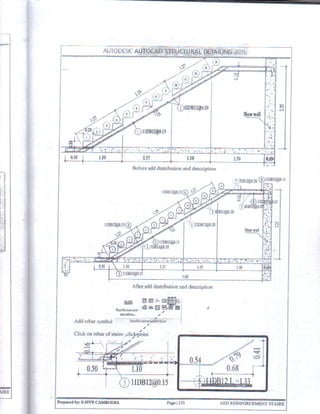 Autocad Structural Detailing 