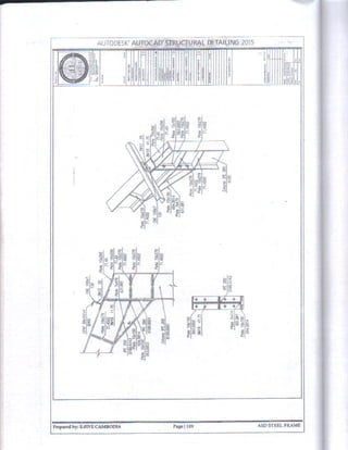Autocad Structural Detailing 
