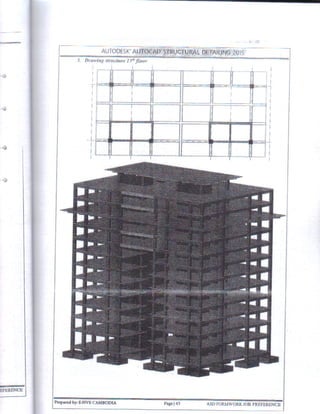 Autocad Structural Detailing 