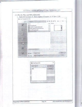 Autocad Structural Detailing 
