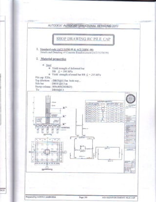 Autocad Structural Detailing 