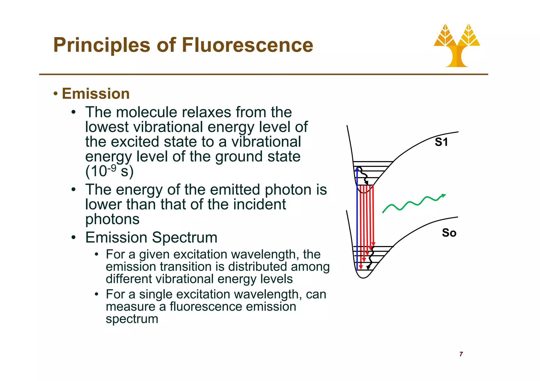 08. Fluorescence Spectroscopy.pdf