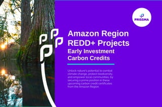 Amazon Region
REDD+ Projects
Early Investment
Carbon Credits
Unlock nature's potential to combat
climate change, protect biodiversity,
and empower local communities, by
securing a prime position in these
upcoming carbon credit certificates
from the Amazon Region.
 