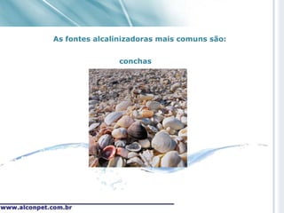 As fontes alcalinizadoras mais comuns são:


                conchas
 