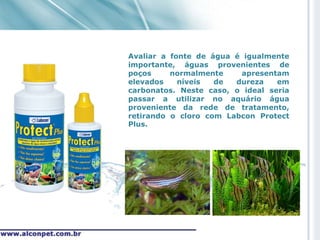Avaliar a fonte de água é igualmente
importante, águas provenientes de
poços     normalmente    apresentam
elevados    níveis  de  dureza    em
carbonatos. Neste caso, o ideal seria
passar a utilizar no aquário água
proveniente da rede de tratamento,
retirando o cloro com Labcon Protect
Plus.
 
