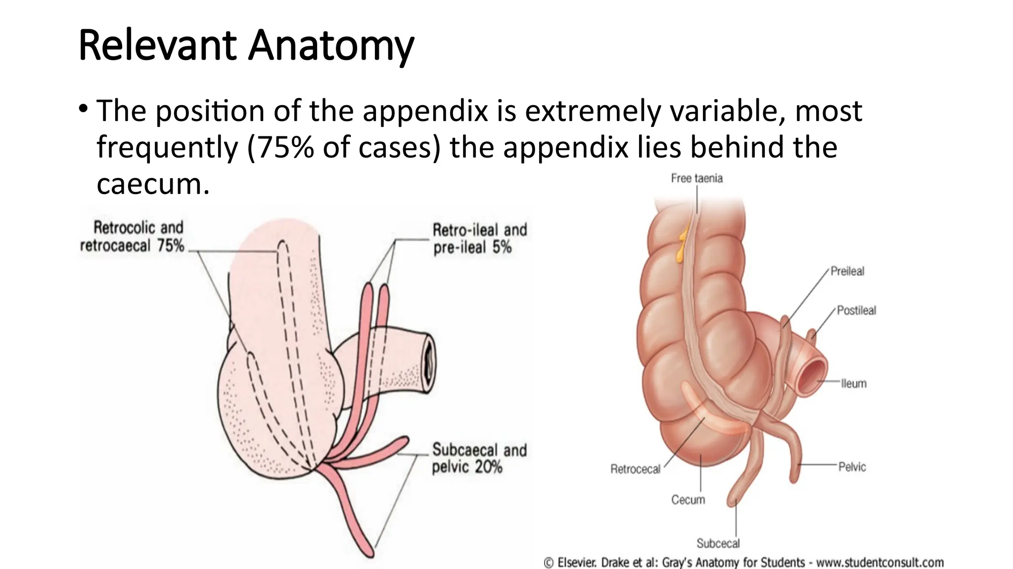 Relevant Anatomy
• The position of the appendix is extremely variable, most
frequently (75% of cases) the appendix lies behind the
caecum.
 