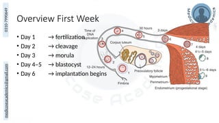 Embryology 08. Cleavage & Blastocyst Formation | PPTX