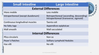 Gross Anatomy of Abdomen II by Medicose Academics | PPTX