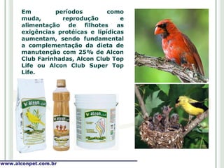 Em        períodos          como
muda,       reprodução         e
alimentação   de    filhotes  as
exigências protéicas e lipídicas
aumentam, sendo fundamental
a complementação da dieta de
manutenção com 25% de Alcon
Club Farinhadas, Alcon Club Top
Life ou Alcon Club Super Top
Life.
 