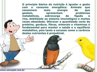 O principio básico de nutrição é igualar o gasto
com o consumo energético. Animais que
consomem        mais      energia     do     que
gastam,           apresentam           problemas
metabólicos,     sobrecarga      do   fígado    e
rins, debilidade no sistema imunológico e muitas
vezes obesidade. Oferecer a quantidade certa de
proteína, gordura, fibras, minerais e vitaminas é
fundamental para manter a saúde e o equilíbrio
metabólico, pois tanto o excesso como a carência
destes nutrientes é prejudicial.
 