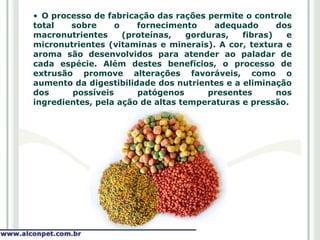 • O processo de fabricação das rações permite o controle
total   sobre     o    fornecimento      adequado     dos
macronutrientes     (proteínas,    gorduras,  fibras)   e
micronutrientes (vitaminas e minerais). A cor, textura e
aroma são desenvolvidos para atender ao paladar de
cada espécie. Além destes benefícios, o processo de
extrusão promove alterações favoráveis, como o
aumento da digestibilidade dos nutrientes e a eliminação
dos     possíveis      patógenos       presentes      nos
ingredientes, pela ação de altas temperaturas e pressão.
 