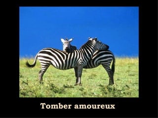 Tomber amoureux 