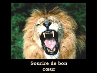 Sourire de bon cœur 