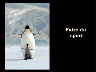 Diaporama PPS réalisé pour  http://www.diaporamas-a-la-con.com Faire du  sport 