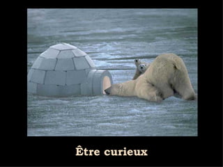 Être curieux 