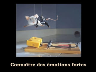 Connaître des émotions fortes 