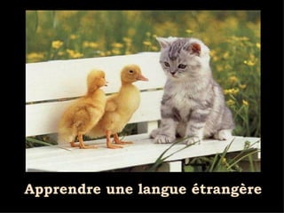 Apprendre une langue étrangère 