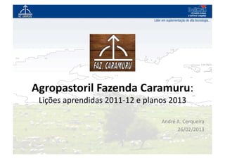 Agropastoril	
  Fazenda	
  Caramuru:	
  
 Lições	
  aprendidas	
  2011-­‐12	
  e	
  planos	
  2013	
  

                                                André	
  A.	
  Cerqueira	
  
                                                         26/02/2013	
  
 