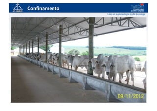 Conﬁnamento	
  
 