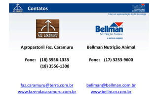 Contatos	
  




 Agropastoril	
  Faz.	
  Caramuru	
                 Bellman	
  Nutrição	
  Animal	
  

    Fone:	
  	
  	
  	
  (18)	
  3556-­‐1333	
       Fone:	
  	
  	
  	
  (17)	
  3253-­‐9600	
  
   	
  	
             	
  (18)	
  3556-­‐1308	
  



 faz.caramuru@terra.com.br	
                        bellman@bellman.com.br	
  
www.fazendacaramuru.com.br	
                          www.bellman.com.br	
  
 