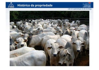 Histórico	
  da	
  propriedade	
  
 