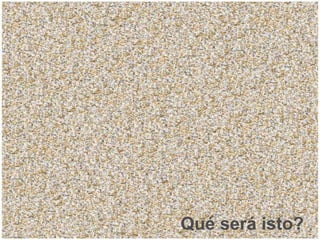 Qué será isto?
 