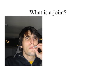 What is a joint? 