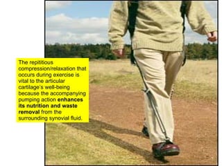 The repititious compression/relaxation that occurs during exercise is vital to the articular cartilage’s well-being because the accompanying pumping action  enhances its nutrition and waste removal  from the surrounding synovial fluid. 