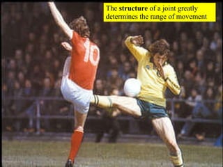 The  structure  of a joint greatly determines the range of movement 